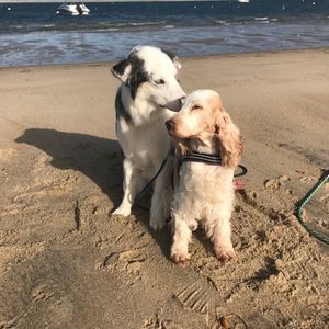 Meet your Posher, Beth